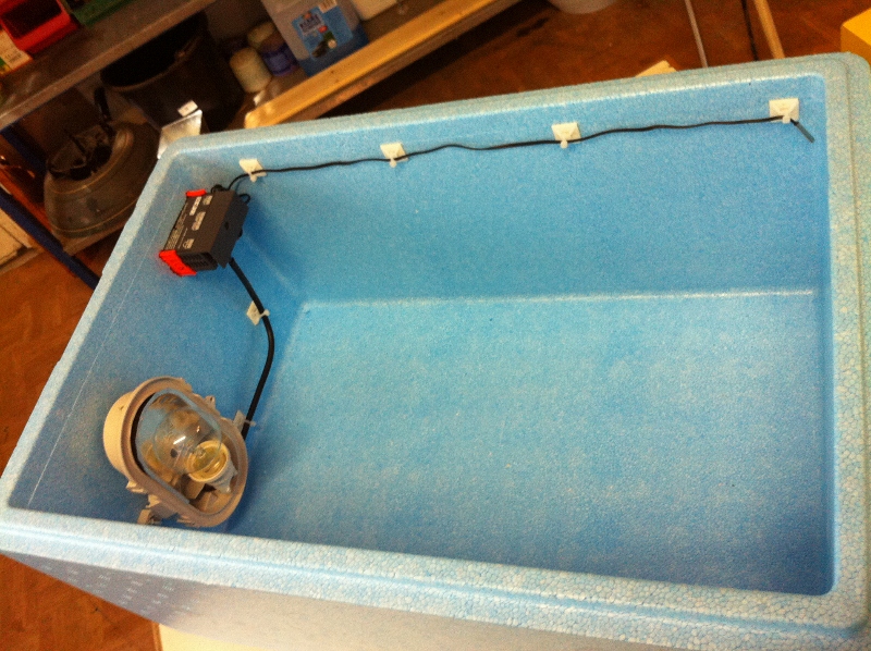 IMG_0287 (800x598).jpg