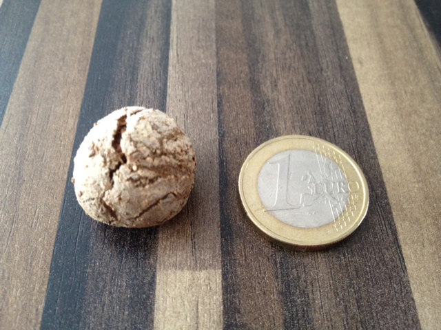 für die kleinen Gäste ;-))