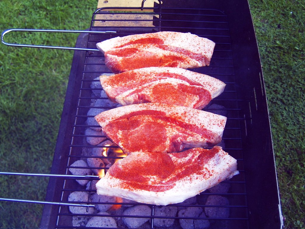 Fleisch nur mit etwas süssem paprika<br />auf den &quot;flachgrill&quot;