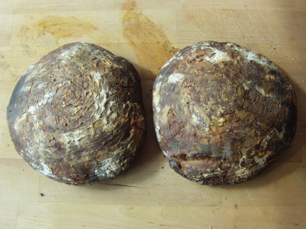 so wie ich es mag roggenbrot.jpg