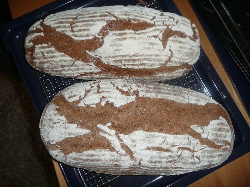Das erste Brot. Von der Optik ganz ok, innen etwas gletzig.