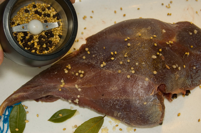 die volle Gewürzpalette